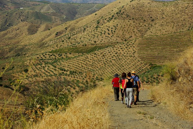Upper Douro Walk & WineTour - The 10km Easy Walk, What It Actually Means on the Ground