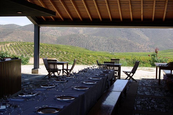 Upper Douro Walk & WineTour - Vale do Côa Archaeological Park and the Paleolithic Engravings