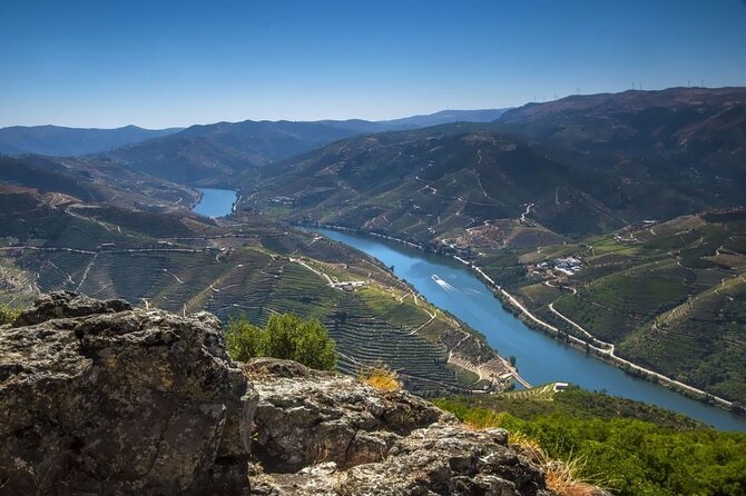 VALE DOURO, Premium Wine Tour, Wine Lunch, Private Boat - Highlights That Make This Douro Wine Tour Worth Your Time