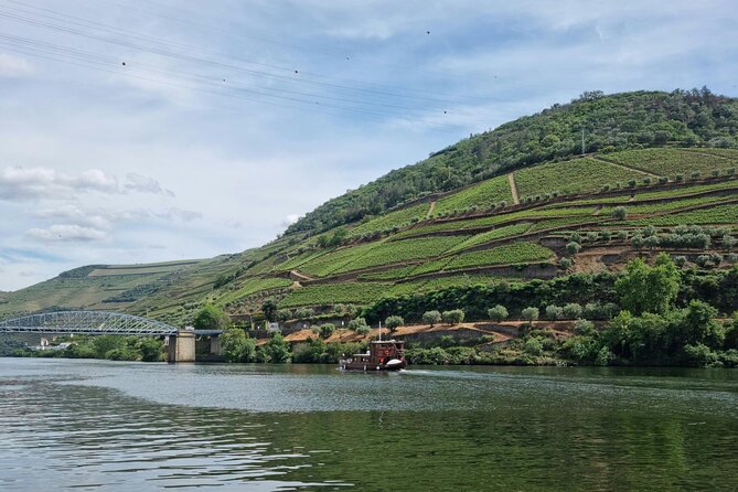 VALE DOURO, Premium Wine Tour, Wine Lunch, Private Boat - Lunch on the Farm in Douro: Food That Actually Sits With the Wine