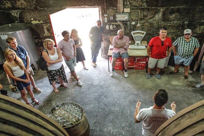 VALE DOURO, Premium Wine Tour, Wine Lunch, Private Boat - The N222 Scenic Road Stop: When Views Become Part of the Wine Story