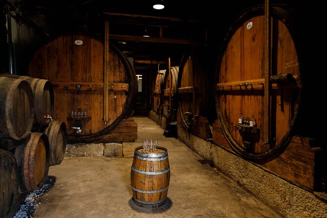 VALE DOURO, Premium Wine Tour, Wine Lunch, Private Boat - Porto Return and Drop-Off: Ending Where You Started