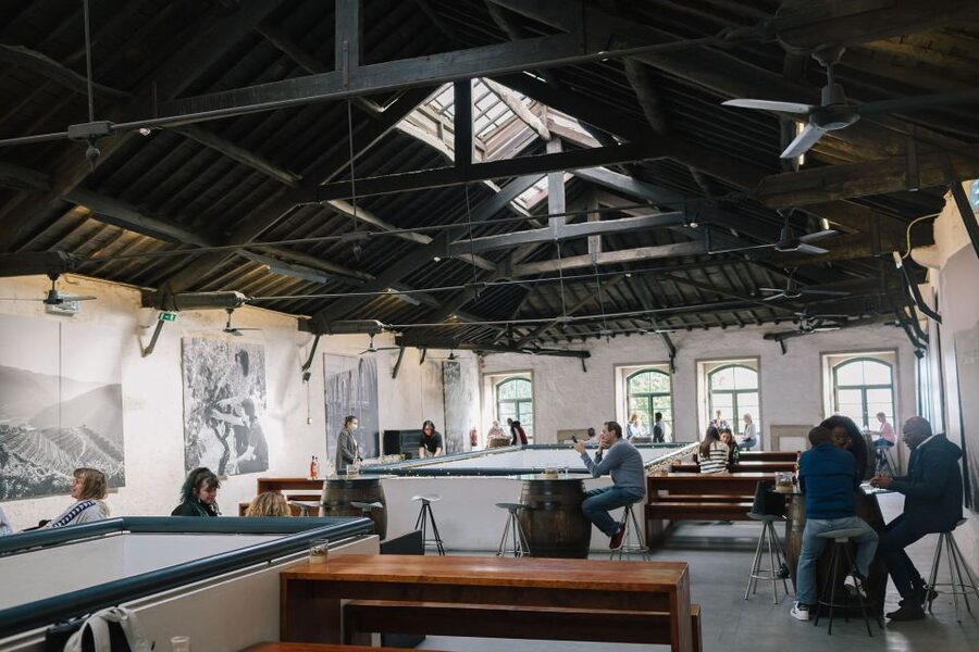 Vila Nova de Gaia: Port Wine Tasting with Cheese Pairing - Inside the Quevedo story: how Douro farming shapes what you taste
