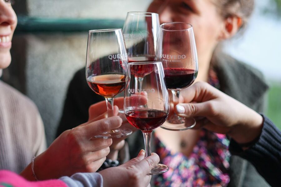 Vila Nova de Gaia: Port Wine Tasting with Cheese Pairing - Who this Port and cheese tasting is best for