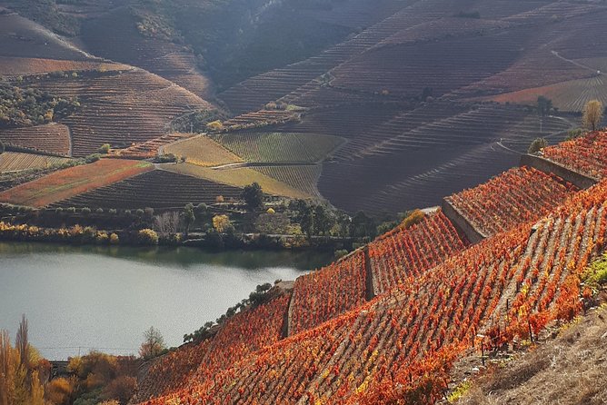 Wine experience with a sommelier - Quinta Lunch With Goatling, Then a Viewpoint Break
