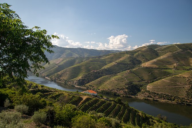 Wine experience with a sommelier - Second Boutique Farm: Another Premium Tasting Round