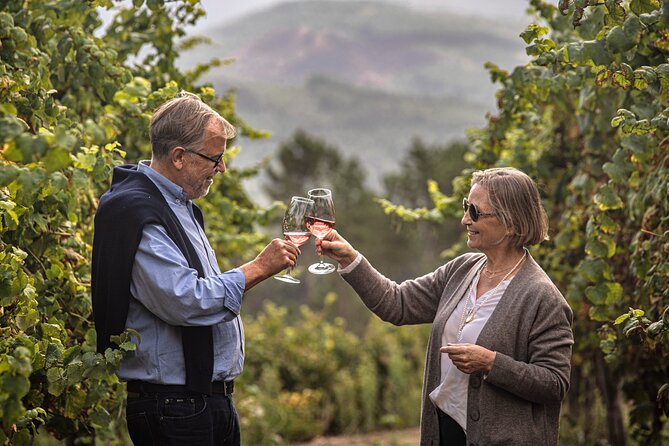 Wine Tasting & Lunch | Quinta de Santa Cristina Vinho Verde - Getting there, timing, and what the small group means