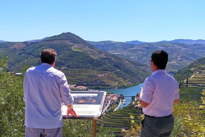 Wine Venture and Boat Trip in Douro Valley from Porto - Bagaúste Boat Trip: The 1-Hour Cruise With Snacks and Quiet Views