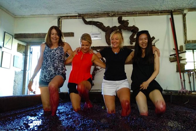 Wine Venture and Boat Trip in Douro Valley from Porto - Wine, Food, and Timing: How to Enjoy It Without Feeling Sloppy